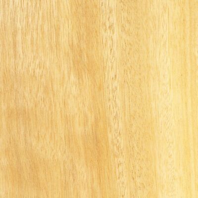 movingui wood exporter in cameroon