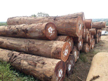 Best Time of Year to Buy Lumber