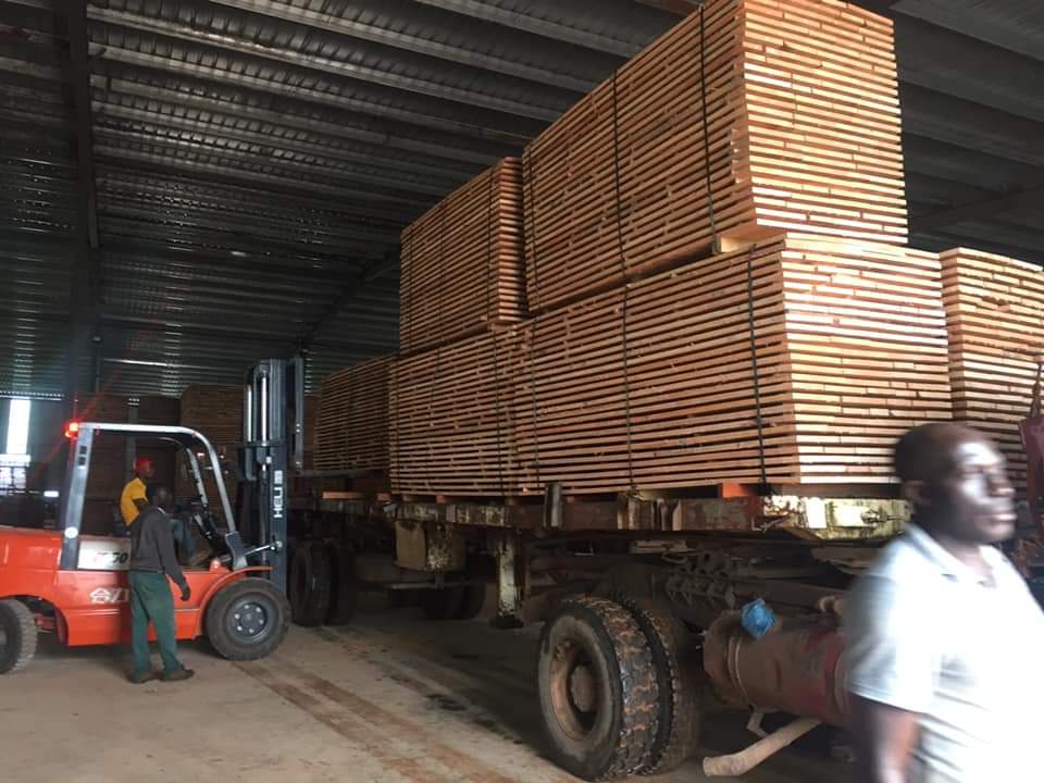 Timber transportation and logistics services by Mbakwood Cameroon