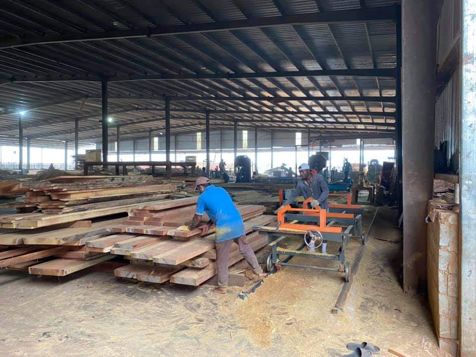 Timber brokerage and sawmill operations in Cameroon