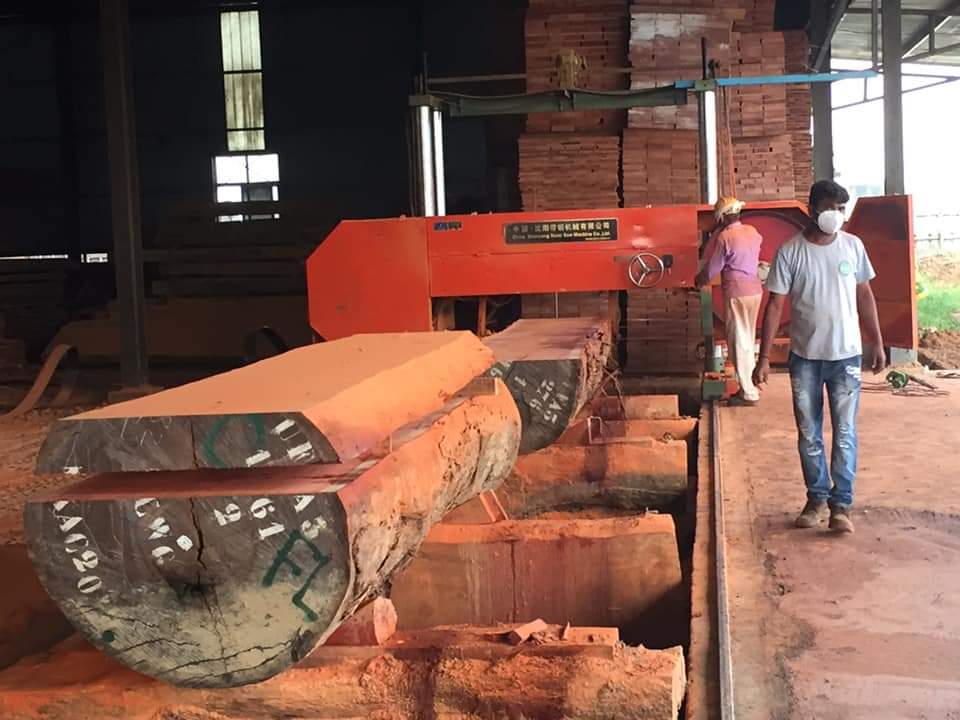 Timber processing and sawmill operations in Cameroon by Mbakwood