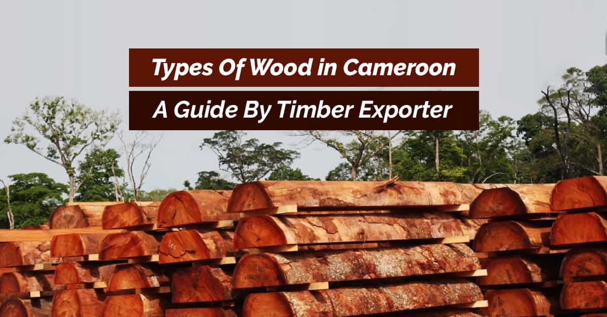 Types of Wood Available in Cameroon