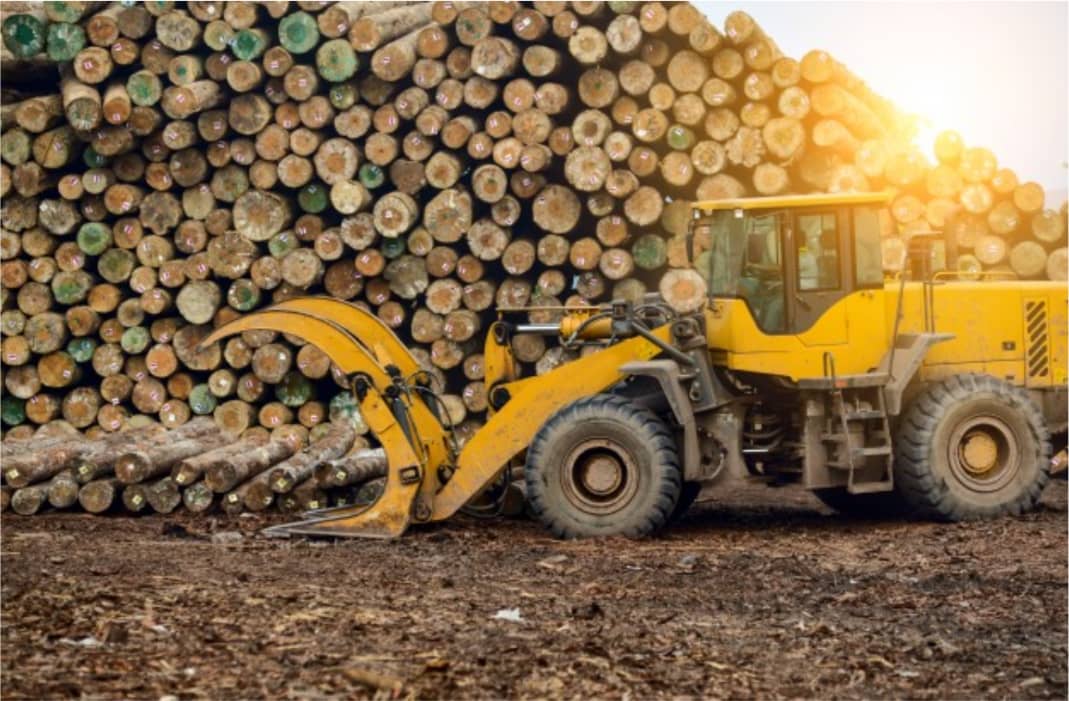 Industrial wood processing services at Mbakwood sawmill in Cameroon
