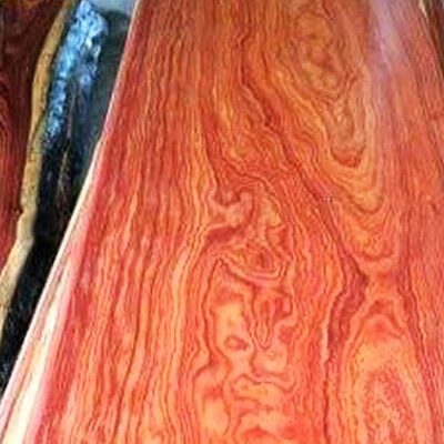 takula padauk wood exporter in cameroon