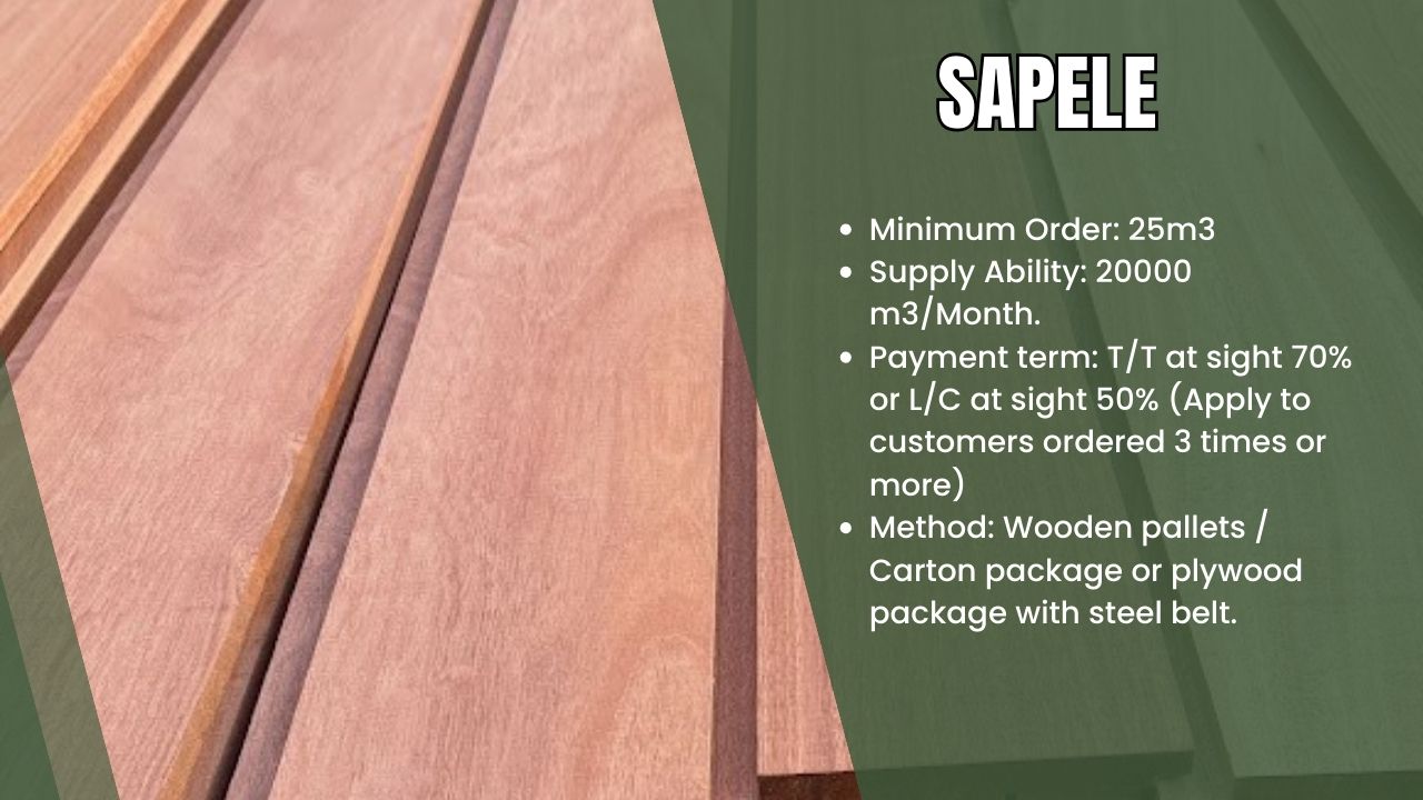 Sapele wood exporter in Cameroon