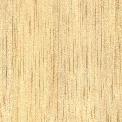 ilomba wood exporter in cameroon